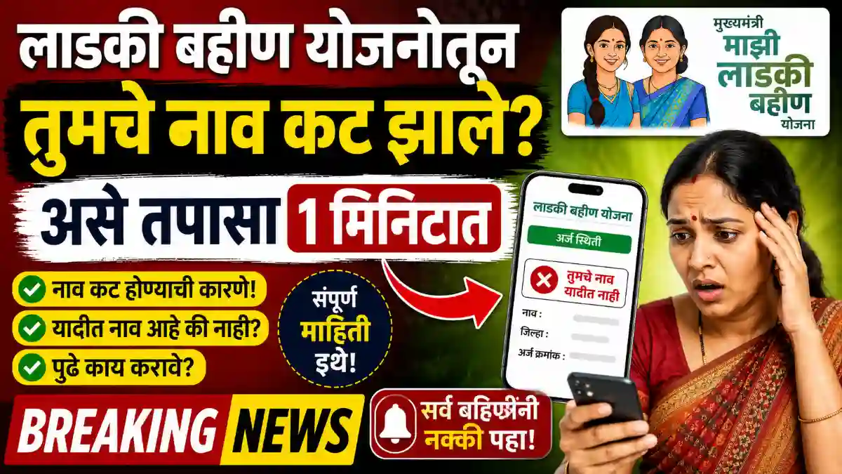 ladki bahin status check