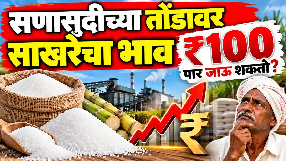 sugar price