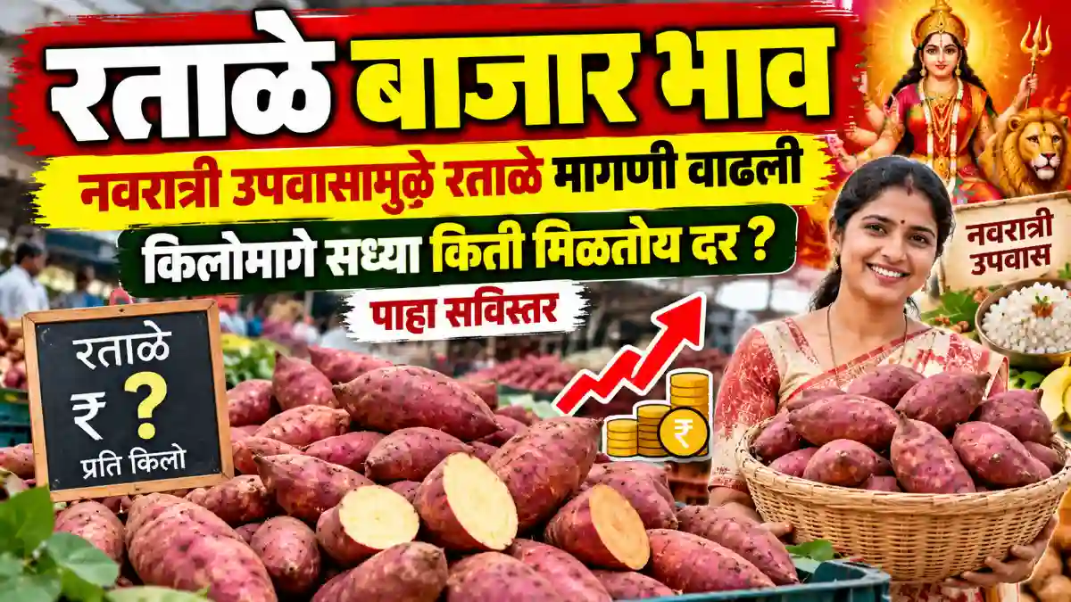 ratale bajar bhav