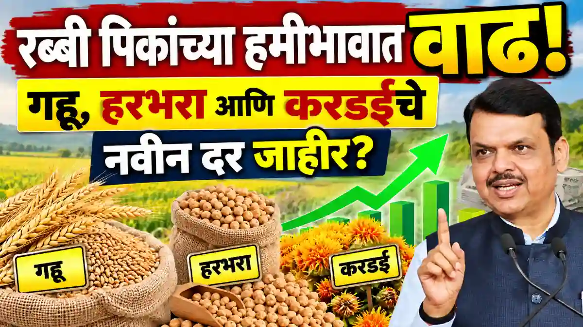 rabi crops MPS